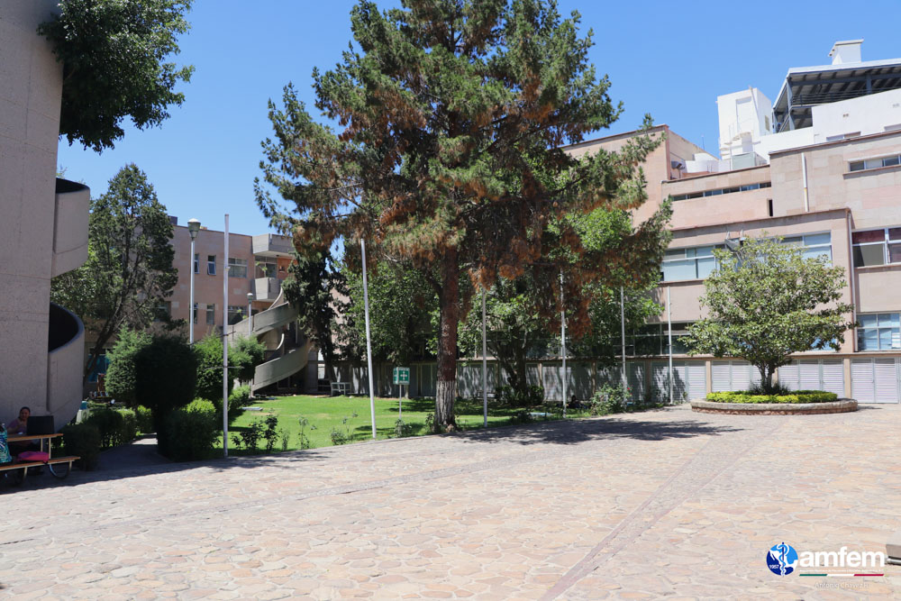 LXV_RNO-28_04-14.jpeg